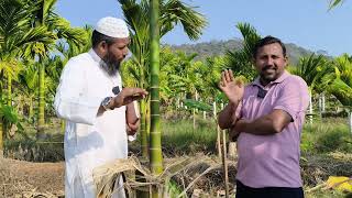 ರೈತರ ಜಮೀನಿನಲ್ಲಿ ಕಾಡಾನೆಗಳ ಹಾವಳಿ ವಿವರಿಸಿದ ಸ್ಥಳೀಯರಾದ ಮುಕುಂದ ರವರು