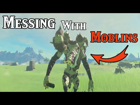 Messing with Moblins The Legend of Zelda: Tears of the Kingdom