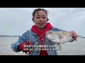 【english sub】小章赶海遇到搁浅小海兔，还见到一只正在游泳的长鱼，一把抓住！【赶海小章】