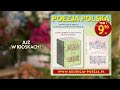 poezja polska