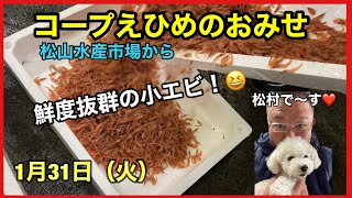 松山市 新居浜市 今治市 スーパー おすすめ 野菜 魚 肉 惣菜 新鮮 安い 品揃えがいい　#旬の魚 #サワラ　#ブリ　#シジミ　#タラ　#アコウ　#アコヤ貝　#牡蠣