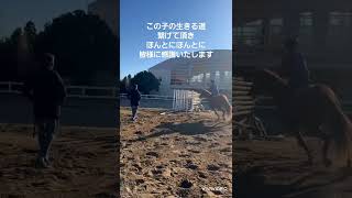 【2025.01.14】～馬から人へ、人から馬へ～　引退競走馬の実質、殺処分から教育利活用や乗馬普及につながる引退競走馬の姿！#horse #高校生 #乗馬 #動物 #馬