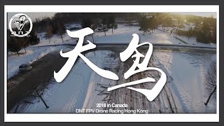 DNT FPV in Canada. 天鳥 Fly with Birds FPV