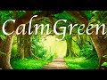 Relaxing Music For Sleep And Good Dreams - Calm Green Sound - Music For Sleep, Study, Work