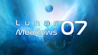 Lunar Meadows 07