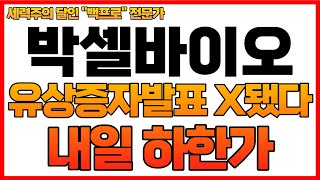 [박셀바이오 주가분석] 유상증자발표 X됐다.. 심장마비소식 내일 하한가... 믿기지가 않는다...