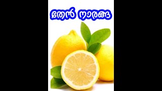 തേൻ നാരങ്ങ || Honey Lemon || തേനീച്ച വളർത്തൽ || Bee farming