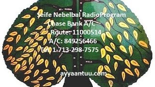 Seife Nebelbal Radio Program, February 28, 2014