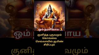 💥குனித்த புருவமும் கொவ்வை செவ்வாயில் குமிண் சிரிப்பும் 💥 #sivanpaal