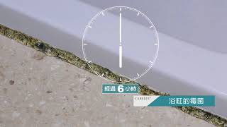 除霉劑使用比較