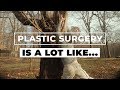 Plastic Surgery Is A Lot Like...