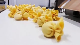 How Dumplings Are Made by Machines