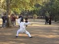 wudang kungfu_long hua quan dragon form 武当功夫龙华拳