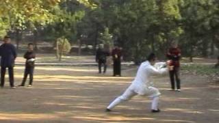 Wudang Kungfu_LONG HUA QUAN (Dragon Form) 武当功夫龙华拳