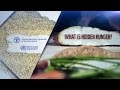 WHO-FAO: International Conference on Nutrition: Hidden hunger.