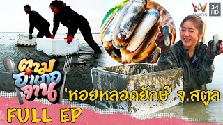 Looking for uncommon size raw materials 'Giant clams', Satun Province