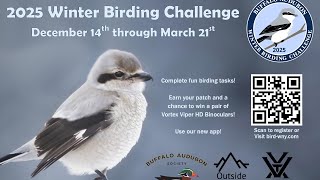 2025 Winter Birding Challenge \u0026 Happy New Year!