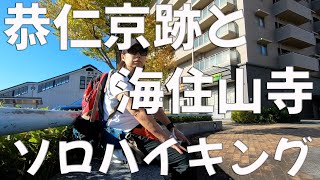 【きづがわ散歩】恭仁京跡と海住山寺　ソロハイキング　10月はコスモスがきれい　猿と犬と雉に会いました　ビビり女の一人山歩き　でもやっぱり行ってよかった