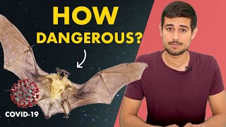 Coronavirus Source: Truth about Bats |  Dhruv Rathee
