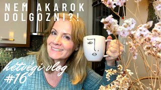 Szégyen, ha nem akarunk dolgozni? | Hétvégi vlog #16