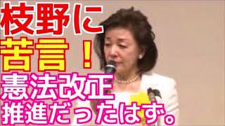 櫻井よしこ【神演説】日本国憲法施行71年 公開憲法フォーラム枝野幸男の憲法改正論の矛盾にあきれる。　チャンネル　みやびの政治ニュースチャンネル