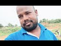 daily life in village.. పొలం పనులతో తంటాలు 🤦‍♂️.. swapnaswamyvlogs swapnaswamyvillagelife