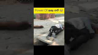 ଆସ୍କା ଫର୍ଟି Power !! Funny video | Odia Trending Video | Aska 40 Life Re Jaljira Misei De !#ytshorts