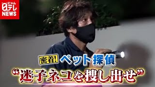 【ペット探偵】迷子ネコの保護大作戦に密着！