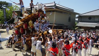 令和元年 東之町 宮入 弓弦羽神社 東灘区だんじり祭り