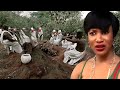 I Can't Believe My Evil Husband Sent Us To The Evil Forest To Die - A Nigerian Movies