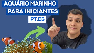 Nemo no aquário? 🤔 Nosso aquário marinho PT.03