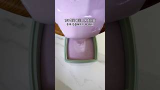 만원대 유청분리기로 타로 그릭요거트를 만들면 나오는 비주얼