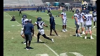 Fight! Fight! Fight! Fists & Punches @ Cowboys camp. Dak & Dermacus breaks fight up