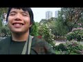 4k movie 奇妙的大自然：香港貓頭鷹 wonderful nature hong kong owl