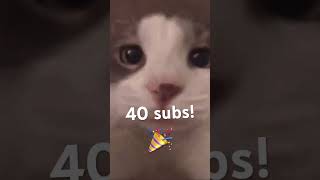 We hit 40 subs! #shorts #cat