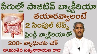 పేగుల్లో ఫ్రెండ్లీ బ్యాక్టీరియా పెరగాలంటే|Probiotics|Manthena Satyanarayana Raju Videos|GOOD HEALTH