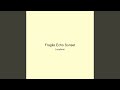 Fragile Echo Sunset