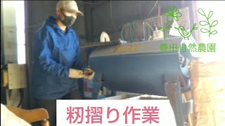 もみすり作業