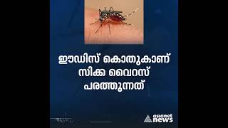 കൊവിഡ് ഭീതിക്കിടെ വെല്ലുവിളിയായി സിക്കയും, ഗർഭിണികൾ ജാഗ്രത പാലിക്കുക | Zika Virus