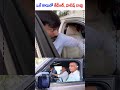 ఒకే కారులో కేటీఆర్ హరీష్ రావు ktr and harish rao travel in same car news line telugu