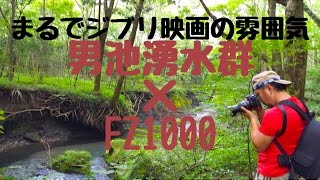 【男池湧水群】まるでジブリ映画の雰囲気