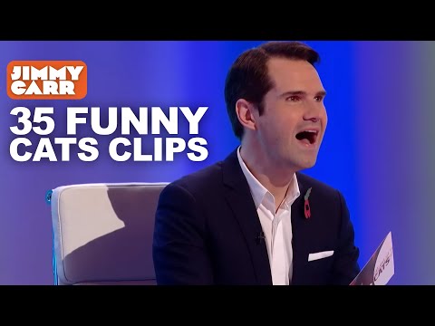 35 Funny 8 Out of 10 Cats Clips 8 Out of 10 Cats Jimmy Carr