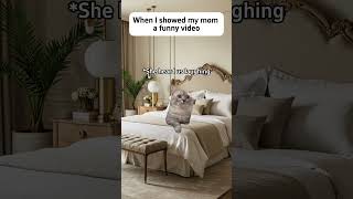 When I showed my mom a funny video #cat #catmemes #funny #relatible #memes