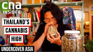 The Highs And Lows Of Thailand's Cannabis Rush | Undercover Asia