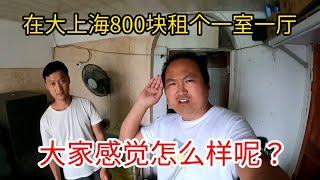 在大上海800块租个一室一厅，大家感觉怎么样？一起来看看吧！