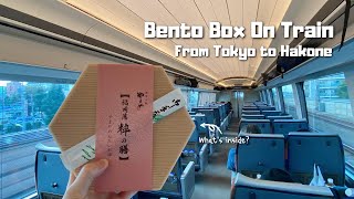 Japanese Bento Boxes on Train | First Time Traveling Since Pandemic | Hakone Vlog Part 1