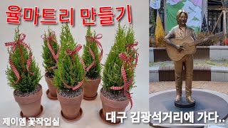 flower shop vlog : 미리 메리크리스마스! , 심플한 율마 미니 트리만들기 , 나홀로 김광석거리 대구여행