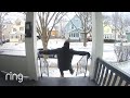 A Man Is Leaving The House & Takes One Little Misstep! | RingTV