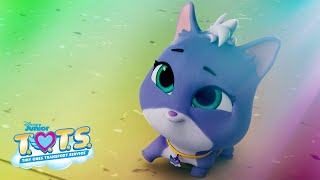 Kiki the Kitten Profile 🐱 | T.O.T.S.| Disney Junior