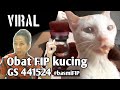 OBAT FIP KUCING PRODUK MALAYSIA YANG LAGI VIRAL @fiefiejo